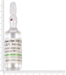 利多卡因靜脈注射液2%
Lidocaine 2% for I.V Inj.