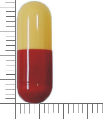 賜爾寧膠囊
SULNIN Cap.