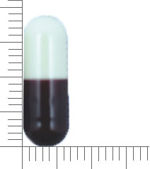 利得淨膠囊
Litazin Cap.